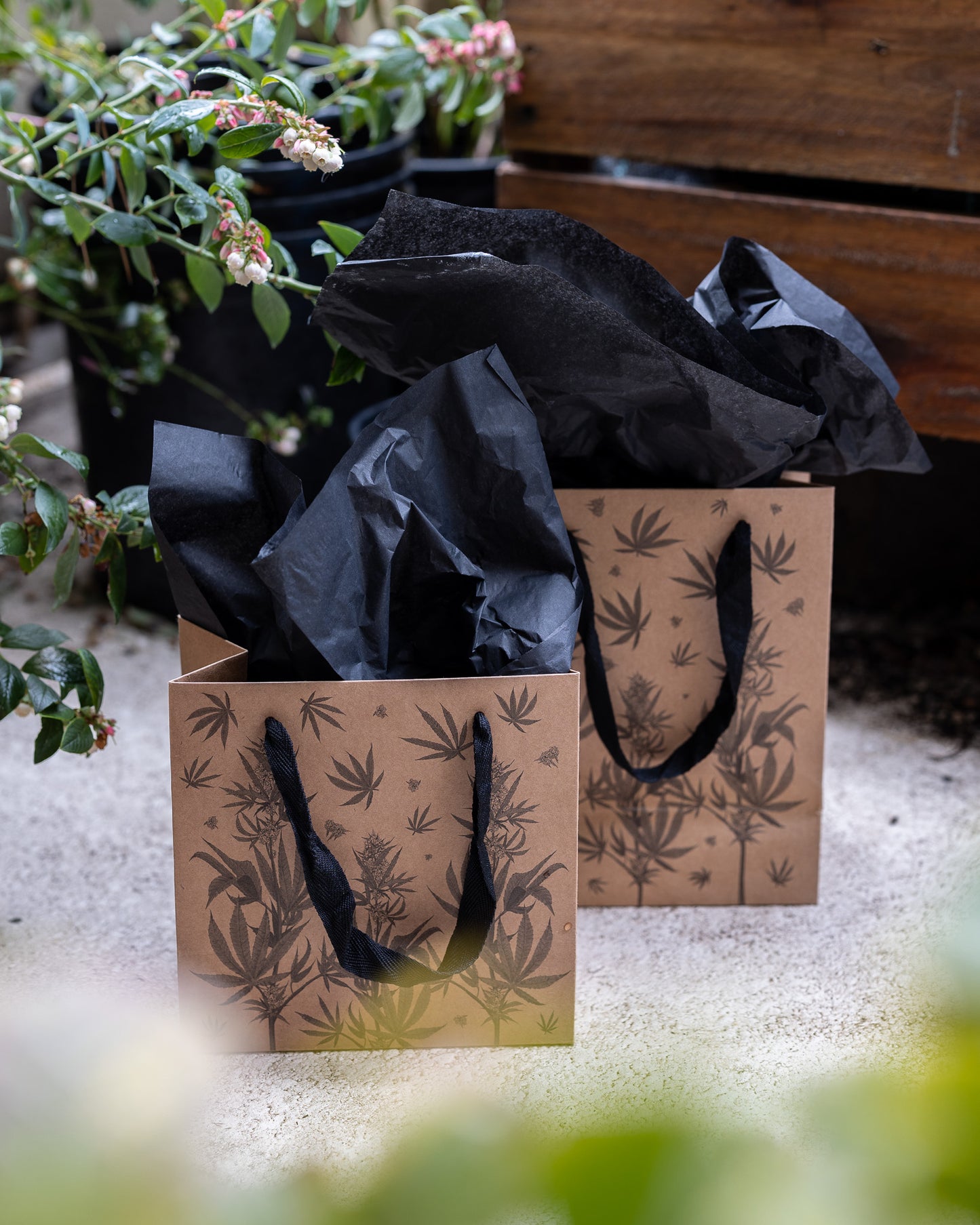 Eco Luxe Cannabis Botanical Gift Bag Set – Kraft Paper with Recycled Black Tissue